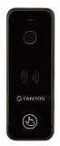 Tantos iPanel 2 (Black), одноабонентская цветная CVBS вызывная панель видеодомофона