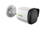 TIANDY TC-C35WS Spec:I5/E/Y/M/H/2.8mm/V4.0, 5Мп уличная цилиндрическая IP-камера
