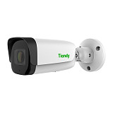 Ранее вы смотрели Tiandy TC-C35WS Spec:I5/E/Y/C/H/4mm, 5Мп уличная цилиндрическая IP-камера