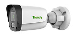 TIANDY TC-C34QN Spec:I3/E/Y/4mm/V5.0, 4Мп уличная цилиндрическая IP-камера