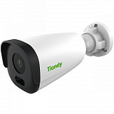 TIANDY TC-C32JN (I5/E/4mm) цилиндрическая IP-камера