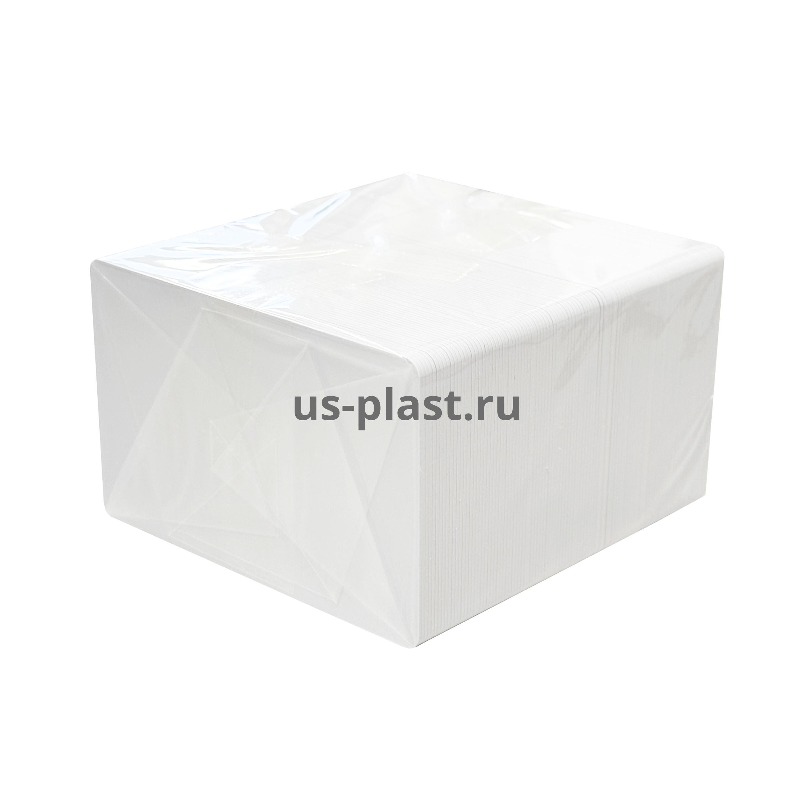 Карта EM-Marine ISO под печать (без номера) 100pcs, упаковка 100 шт