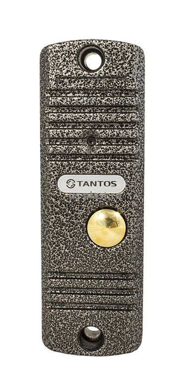 Tantos Walle (серебро), вызывная панель видеодомофона