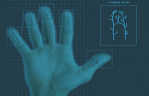 Идентификация по венам пальца: особенности и преимущества технологии